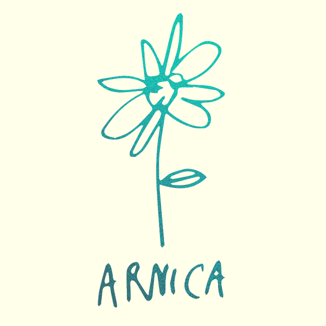 Logo Arnica Cultural