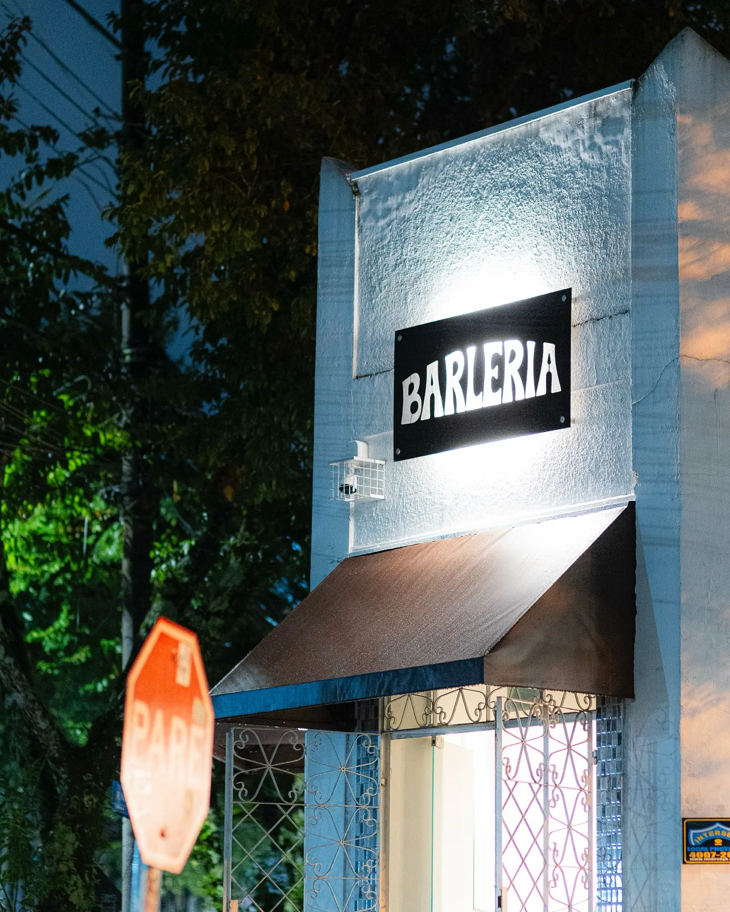 Barleria