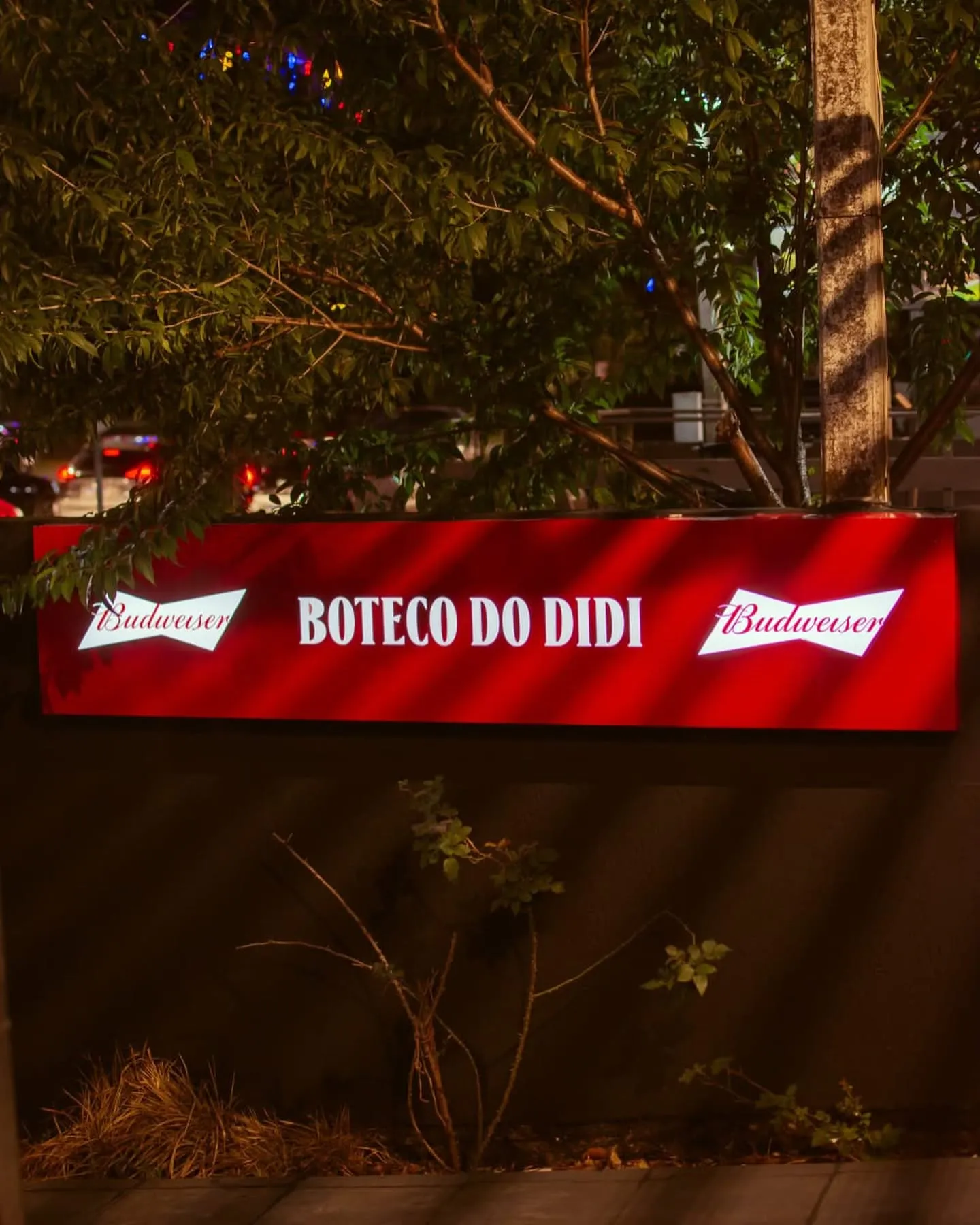 DIDI - SILVA JARDIM
